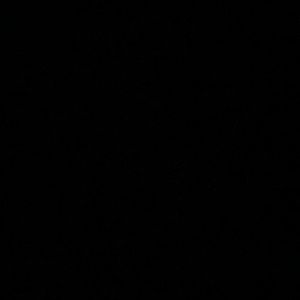 Meet your Posher, Roosevelt